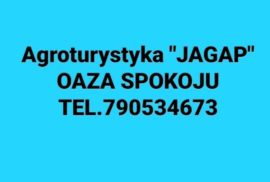Agroturystyka "Jagap" Oaza Spokoju Дзєржонюв Екстер'єр фото